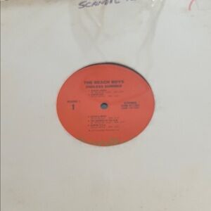 The Beach Boys Endless Summer Vinyl Record